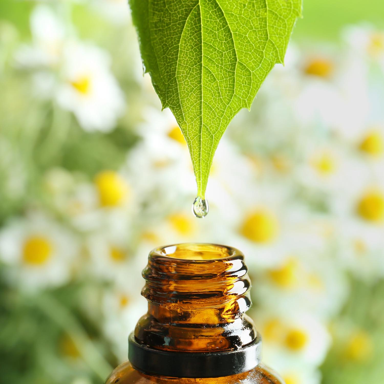Aromathérapie Pharmacie Malki à Vitre-sur-Seine